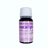 eucaliptox